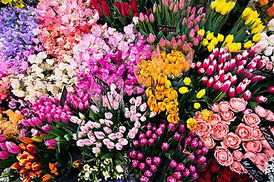 《生化危机4》艾达王DLC售价确定：10美元