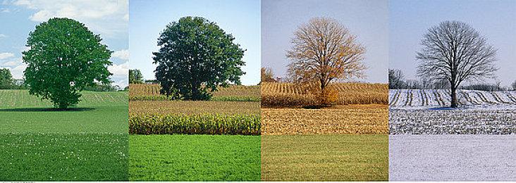 物理沙盒新游《STANDBOX》登陆Steam 暴待布娃娃