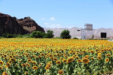 斩断宿命的枷锁《虚妄轮回》现已正式发售